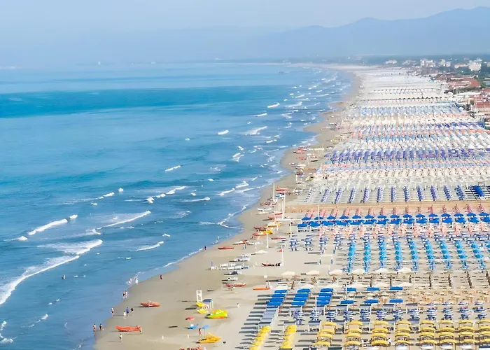 Viareggio Apartments Dom wakacyjny